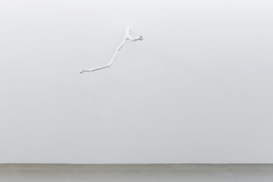 NAGEL DRAXLER GALLERY - JT CHROMO BRANCHE crop JT CHROMO BRANCHE crop - NAGEL DRAXLER GALLERY