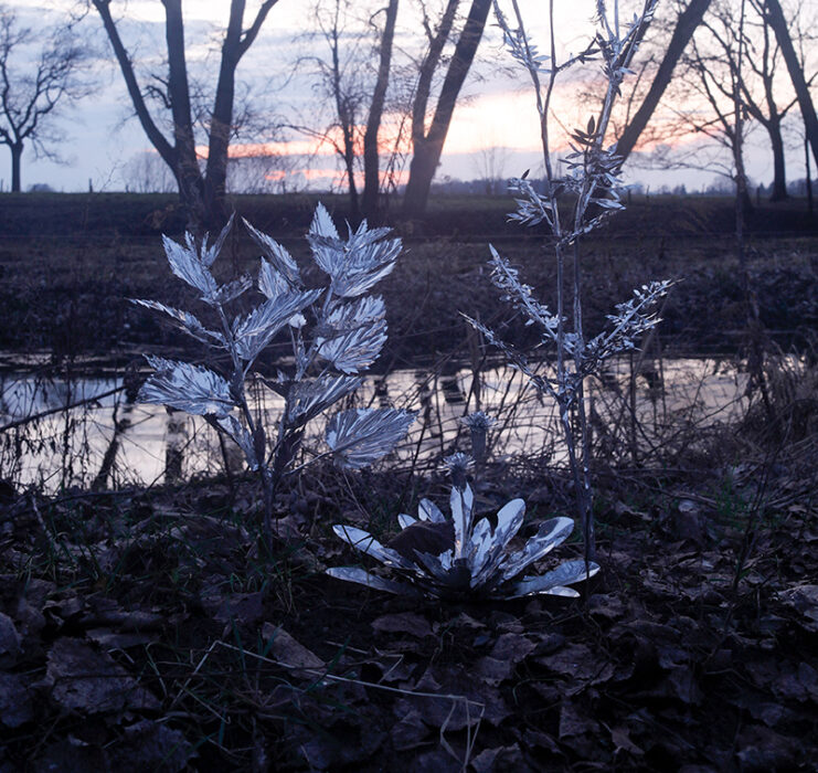 Toshihiko Mitsuya cropped 1 - NAGEL DRAXLER GALLERY
